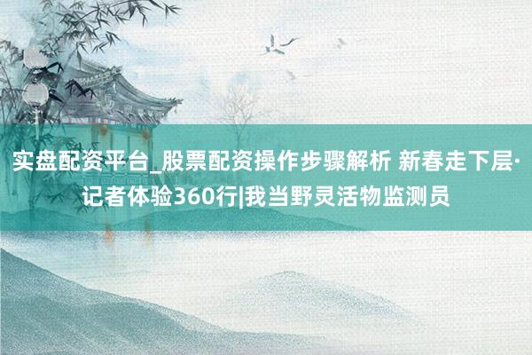 实盘配资平台_股票配资操作步骤解析 新春走下层·记者体验360行|我当野灵活物监测员